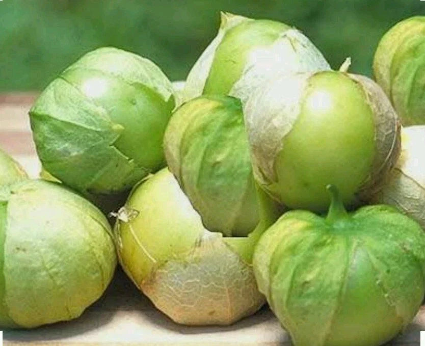 Tomatillo Seeds 100 Count - Toma Verde Non-GMO Open Pollinated for Home Gardening, Salsa & Canning - Physalis philadelphica