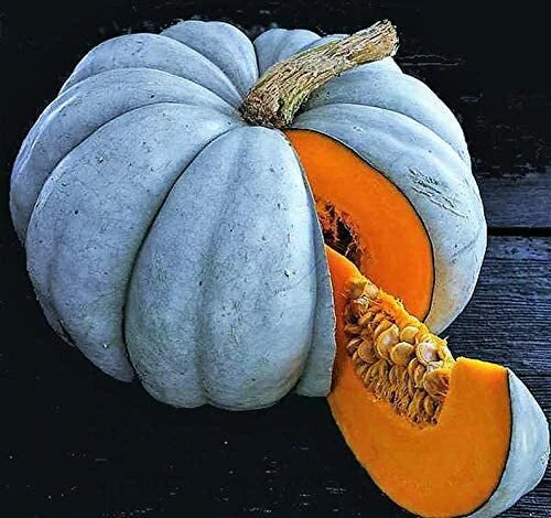 Jarrahdale Blue Pumpkin Seeds 10 Pack | Winter Squash Heirloom Cucurbita maxima | Sweet Queensland Cinderella