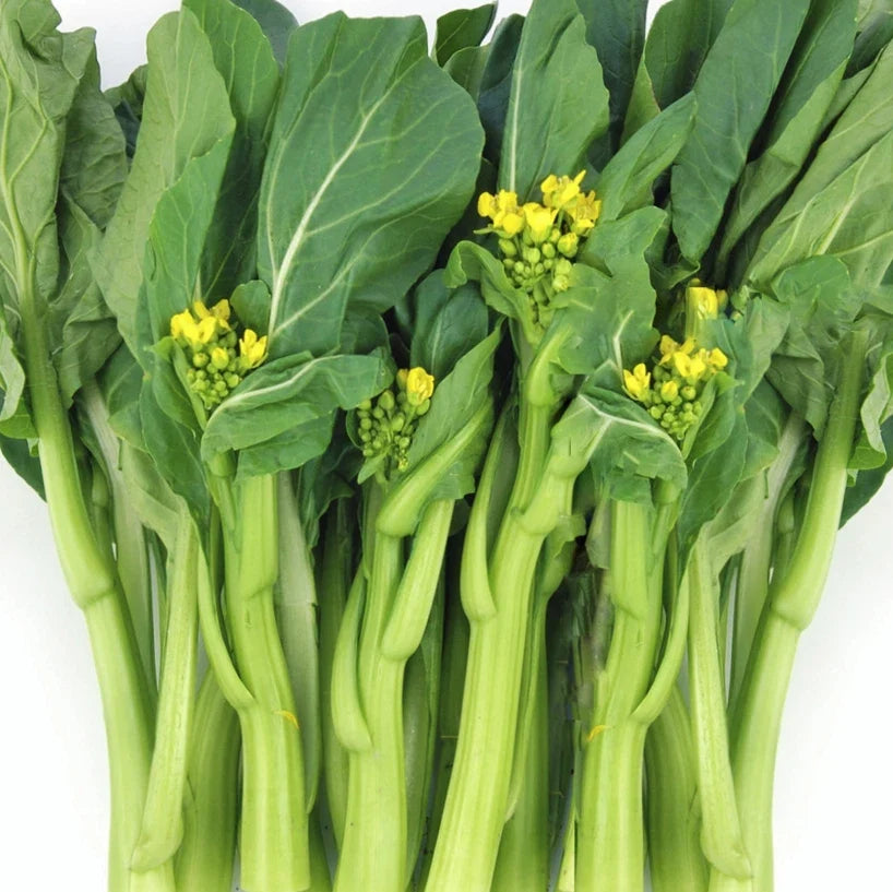 Yu Choy Sum Seeds | 70D Improved Gai Lan Mustard Green | Brassica rapa var. parachinensis | Packaged Vegetable Seeds