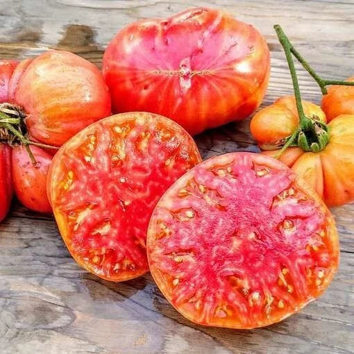 Heirloom Hillbilly Tomato Seeds - Organic Non-GMO, Rare Yellow-Orange Fruit, Indeterminate, Solanum lycopersicum