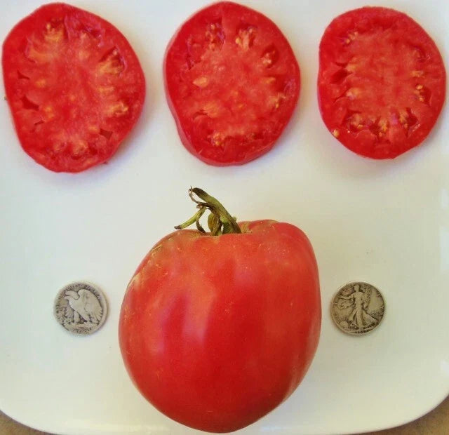 Hungarian Heart Tomato Seeds - Heirloom Oxheart Variety, Solanum lycopersicum, 25 Seeds for Garden, Container & Raised Bed Growing