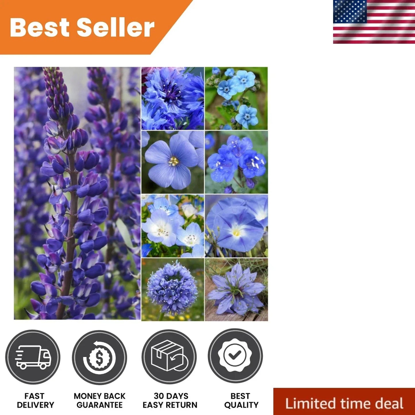 Mixed Wildflower Seeds - 30,000+ Seeds to Attract Butterflies & Bees - Native Wildflower Blend