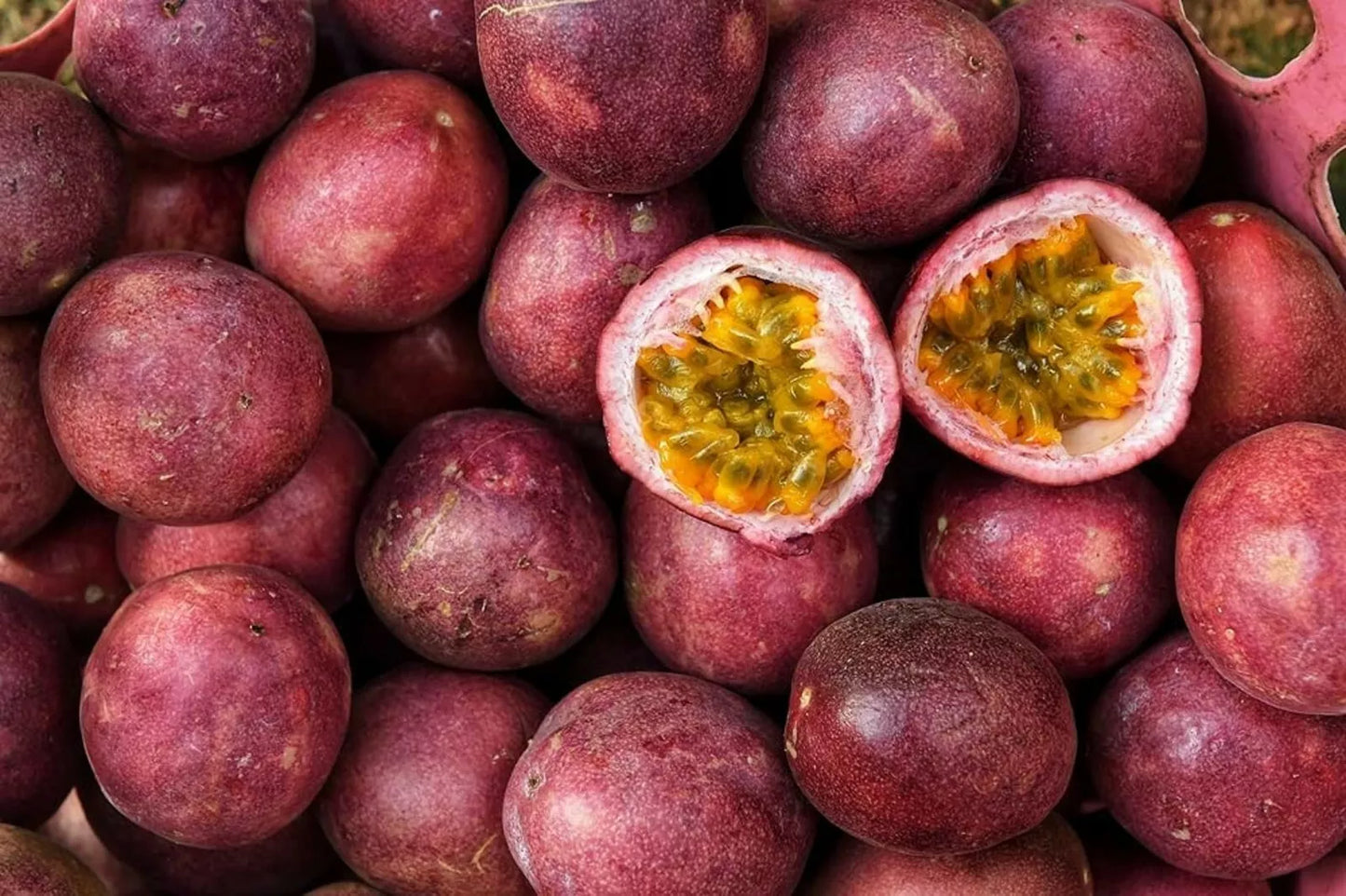 Passion Fruit Seeds - 50 Count, Passiflora edulis, Climbing Vine, Tropical Fruit Seeds for Garden, Healthy Plant Growth
