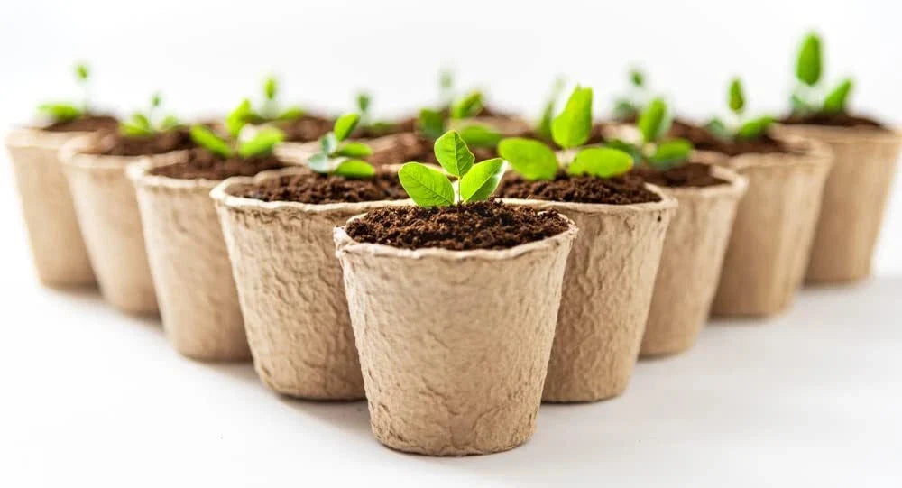 3 Inch Biodegradable Plant Pots Pack for Herbs, Trees, Vegetables | Eco-Friendly Seedling Containers