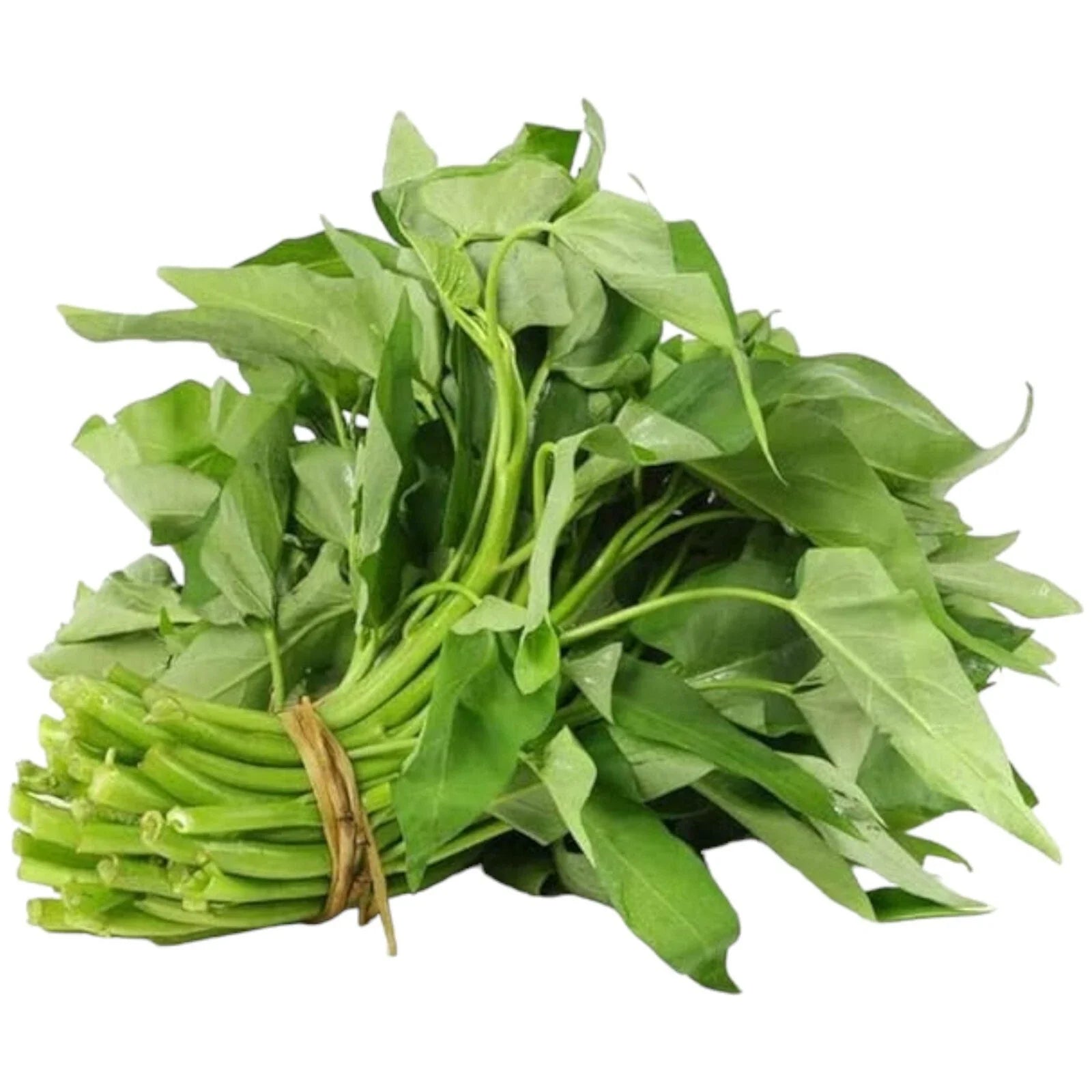 Water Spinach Seeds 120pcs Organic Non-GMO Heirloom 'Kong Xin Cai' Ipomoea aquatica for Home Gardening