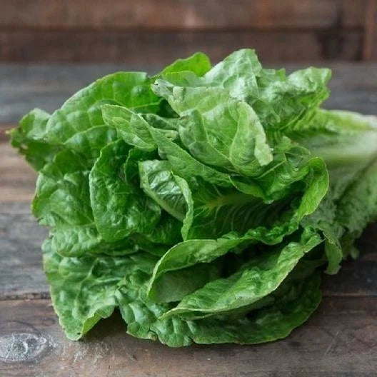 Parris Island Lettuce Seeds - 1500 Non-GMO Heirloom Lactuca sativa for Home Gardening, Salad Greens, Loose-Leaf, Full Sun