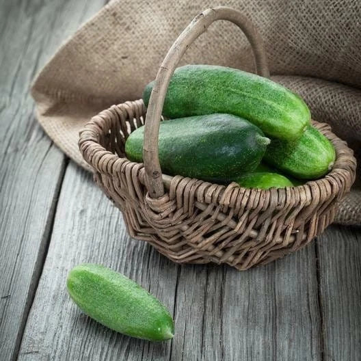 Spacemaster Cucumber Seeds – Non-GMO Heirloom, Compact Bush Variety, Cucumis sativus, 80 Seeds for Small Gardens & Containers