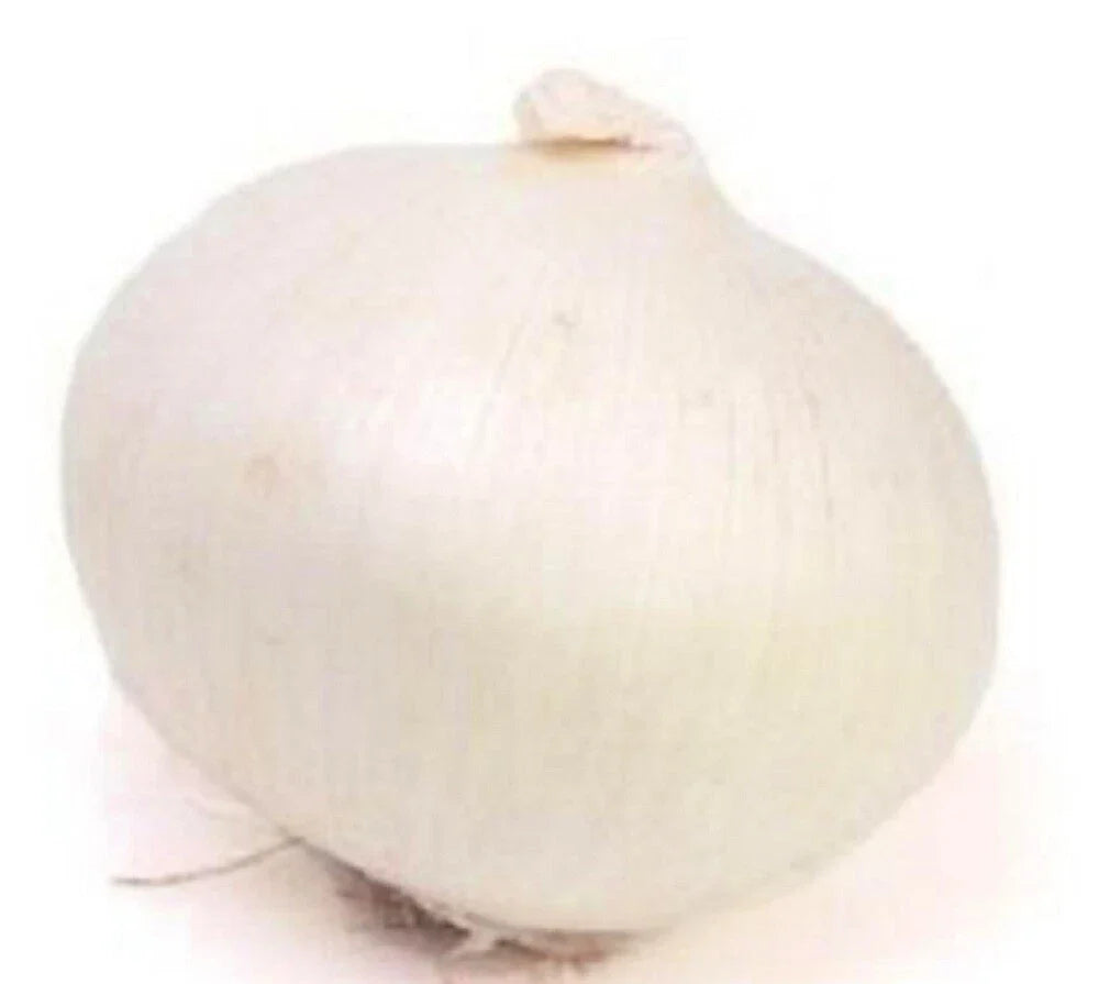 Eclipse L303 Onion Seeds - Non-GMO Heirloom Allium cepa for Garden & Container Growing