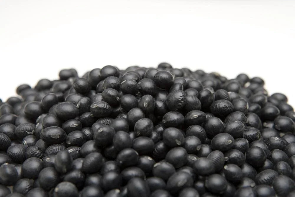 Black Soybean Seeds - Organic Non-GMO Edamame Glycine max for Planting
