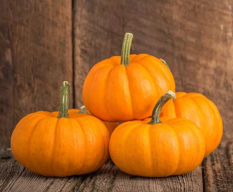 Baby Bear Pumpkin Seeds - 25+ Pack, Cucurbita pepo, Small Decorative & Cooking Pumpkins, Non-GMO, USA Grown
