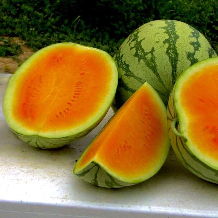 Sweet Orange Watermelon Seeds - Non-GMO, Heirloom Citrullus lanatus, Juicy Orange Flesh, Pack of 25+ Seeds