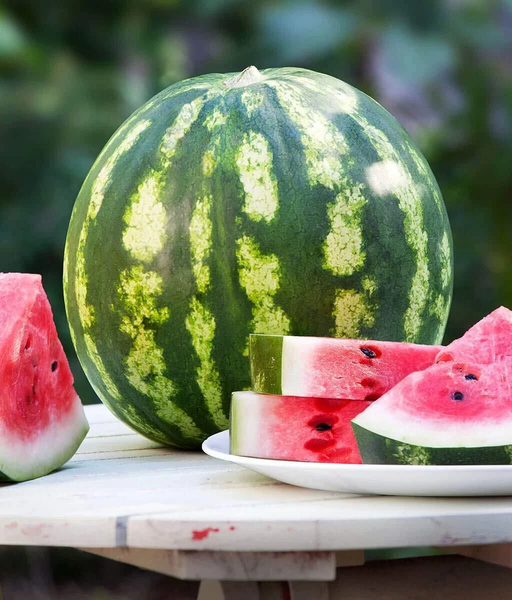 Crimson Watermelon Seeds - Heirloom Citrullus lanatus - Grow Juicy, Sweet Watermelons in Backyard, 30+ Seeds, USA Grown