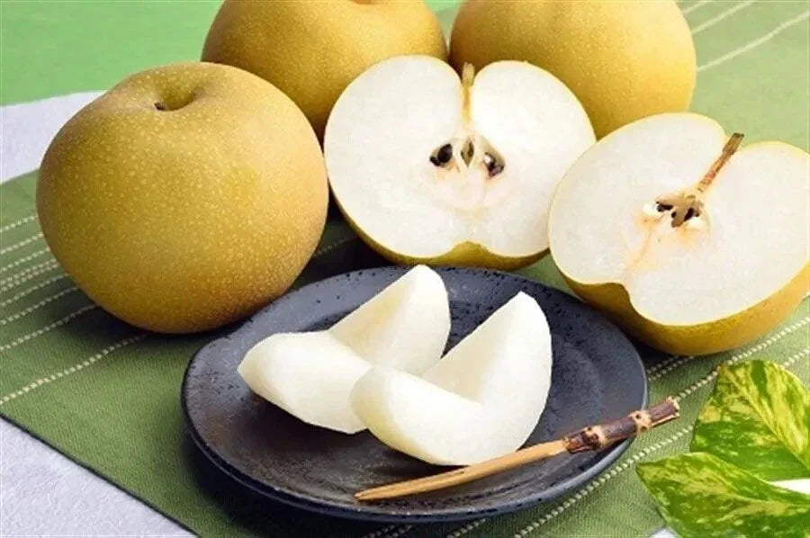 Asian Pear Seeds 10 Pack - Pyrus pyrifolia - Japanese & Korean Varieties - 2024 USA