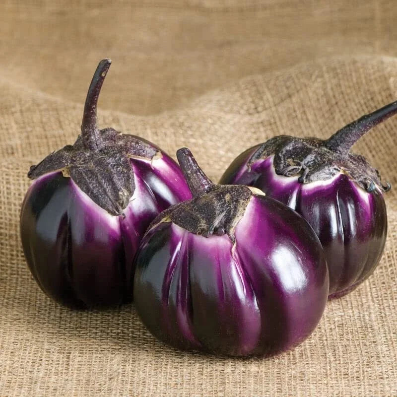 Barbarella Eggplant Seeds - 50 Non-GMO Exotic Solanum melongena for Garden, Container, or Backyard Growing
