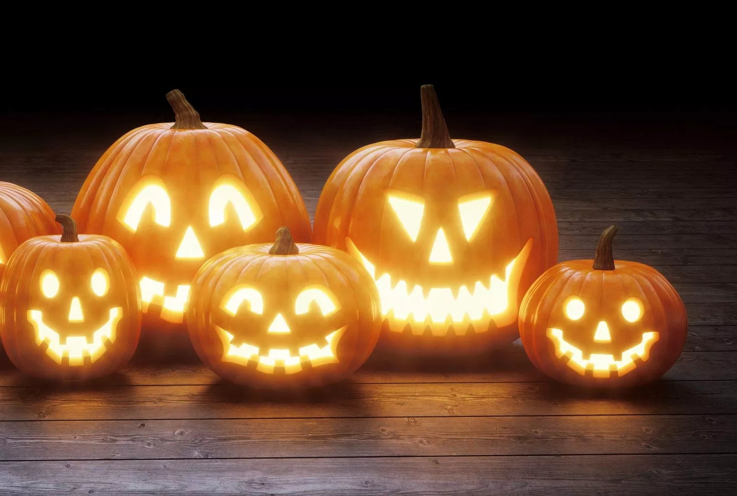 Jack O' Lantern Pumpkin Seeds - 20 Pack, Medium-Sized Cucurbita pepo for Carving & Decoration