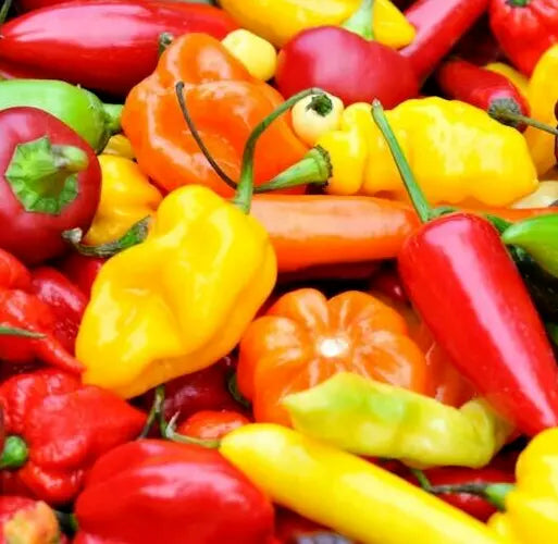 Hot Pepper Seeds Mix - 50+ Varieties Including Jalapeno, Habanero, Cayenne, Anaheim, Cherry, Santa Fe