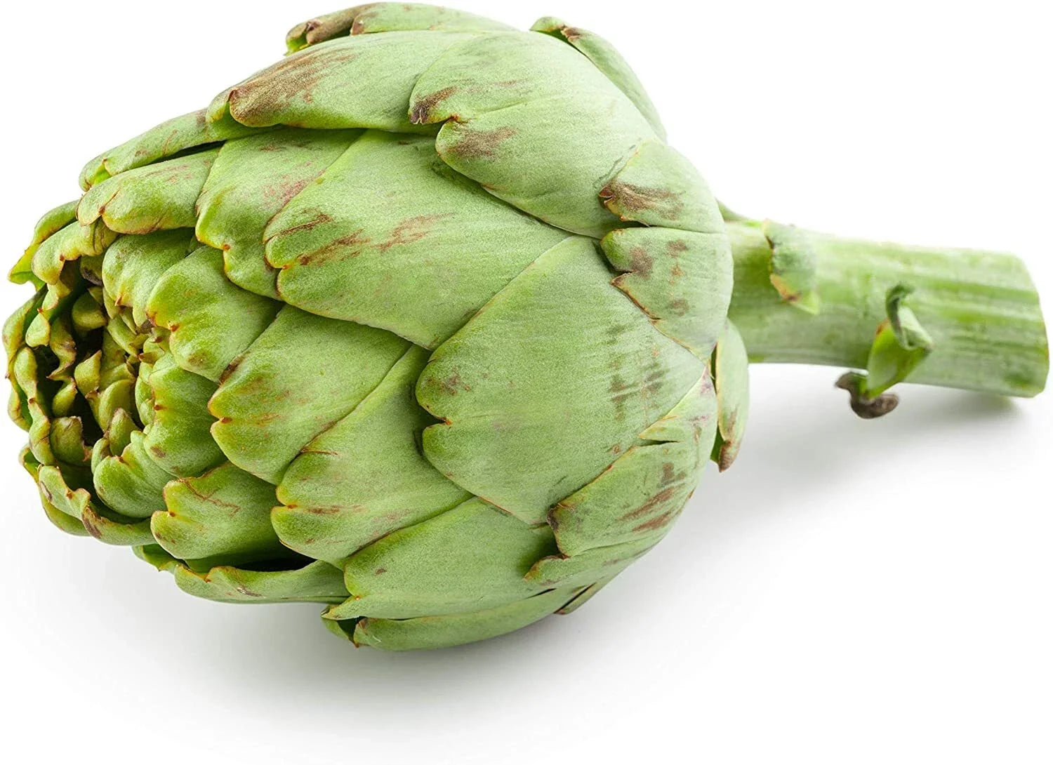 Exotic Globe Artichoke Seeds - Heirloom Cynara scolymus for Home Garden, Edible Buds, Perennial Vegetable, 30 Pack