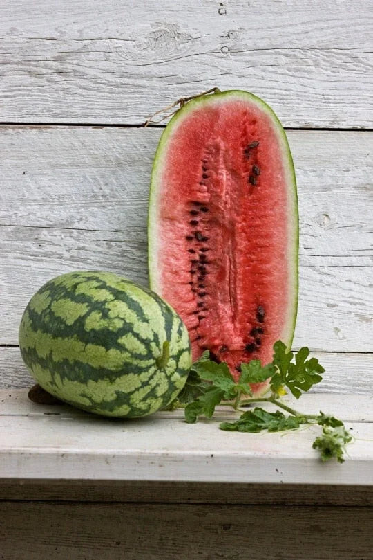 Georgia Rattlesnake Watermelon Seeds - Pack of 50+ Citrullus lanatus, Sweet Striped Watermelon, USA Grown, Gardening Seeds