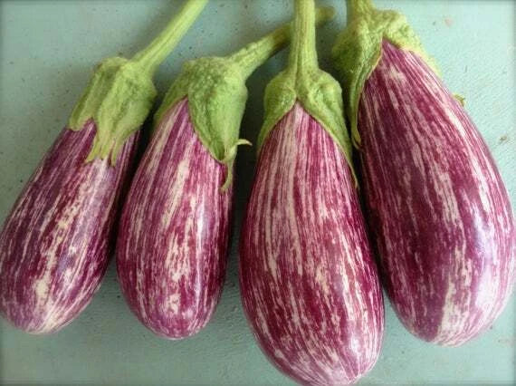 Shooting Star Eggplant Seeds - Non-GMO Vegetable Seeds - Solanum melongena - Purple Star-Shaped Fruit, 25 Pack