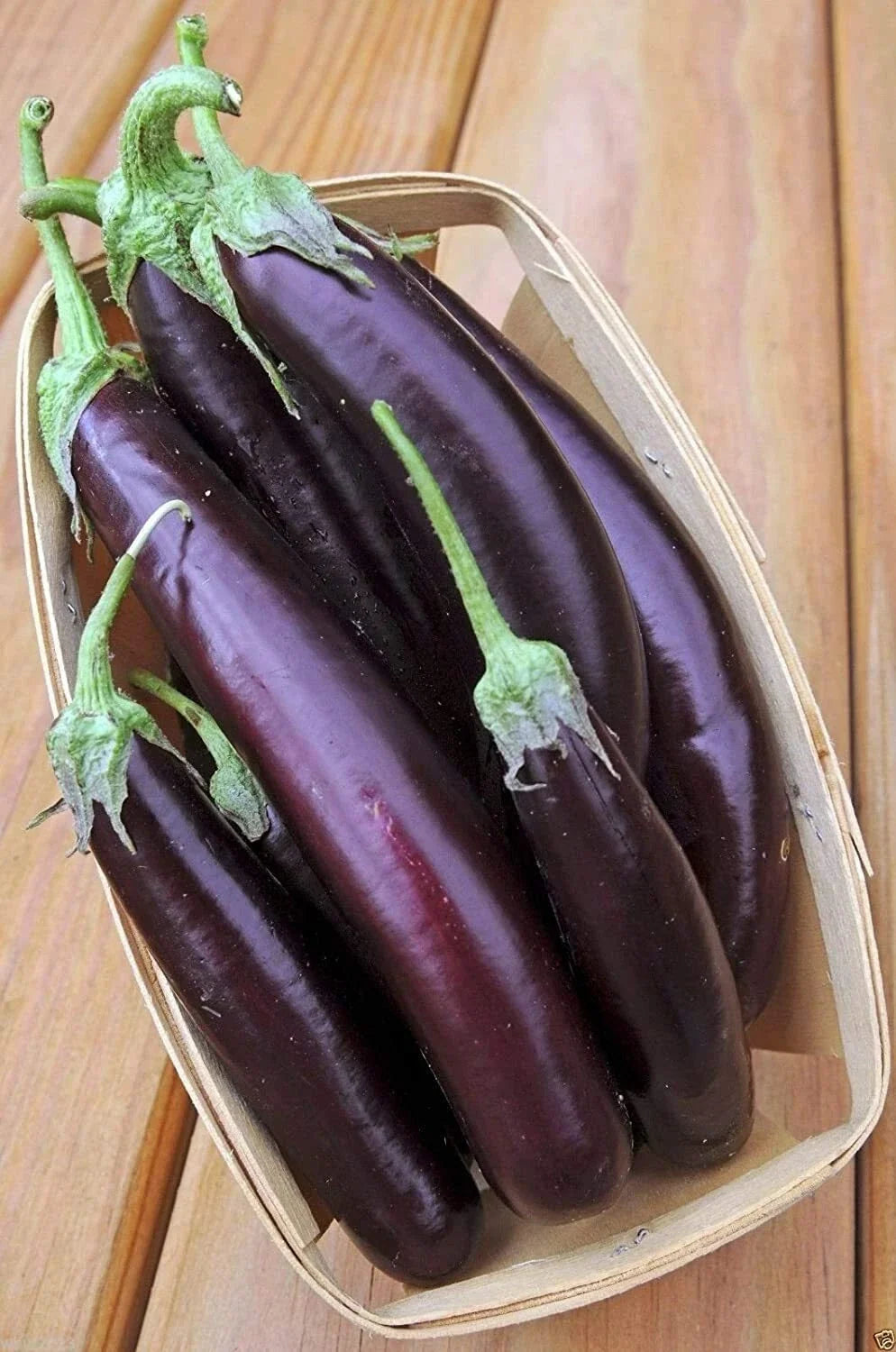 Long Purple Eggplant Seeds - 250 Non-GMO Heirloom Solanum melongena for Vegetable Garden