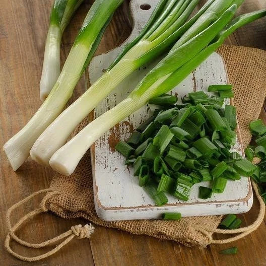 Tokyo Long Bunching Onion Seeds – Non-GMO Allium Fistulosum Heirloom Seeds with Tracking