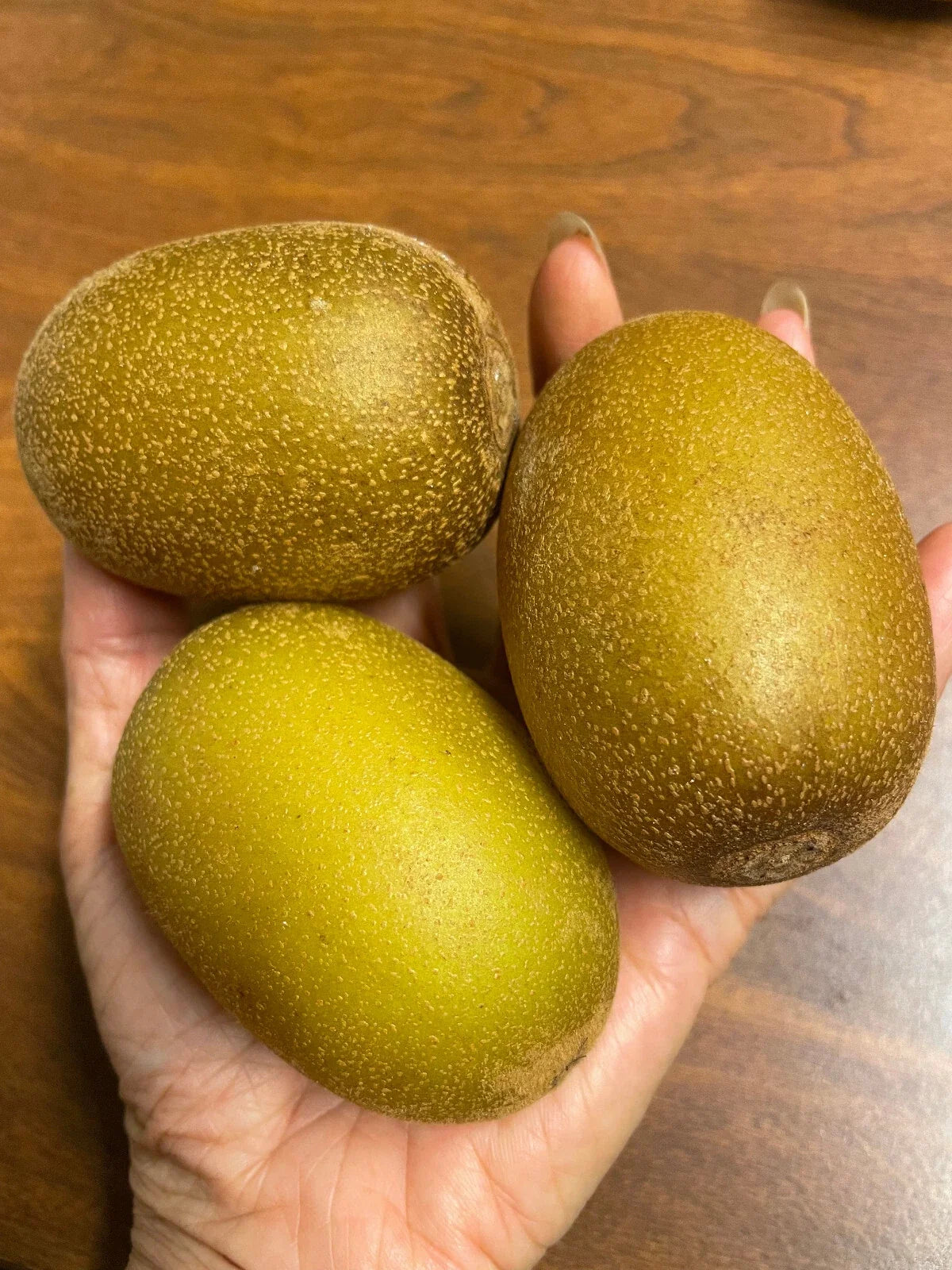 Golden Kiwi Fruit Seeds - 25 Pack, Yellow Actinidia Chinensis Vine for Garden & Container Planting