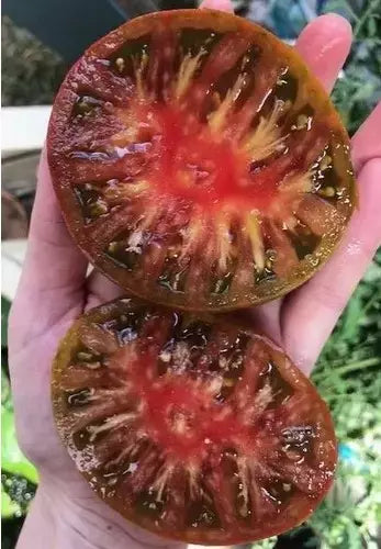 Black Brandywine Tomato Seeds – Heirloom Organic Non-GMO, Solanum lycopersicum, 120+ Seeds for Home Garden, Fresh Eating & Canning