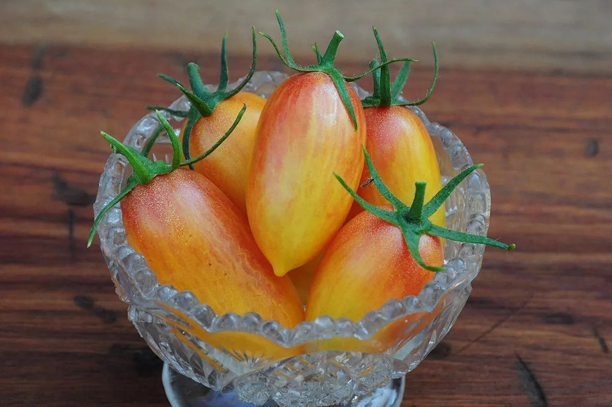 Blush Tomato Seeds - 15 Non-GMO Julienne Cherry Saladette Seeds