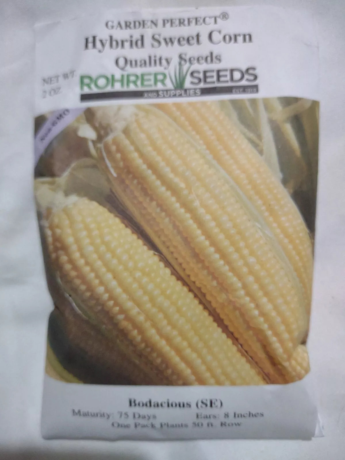 Hybrid Sweet Corn Seeds 2oz Bodacious SE Non-GMO Zea mays, Full Sun, 75 Days Maturity