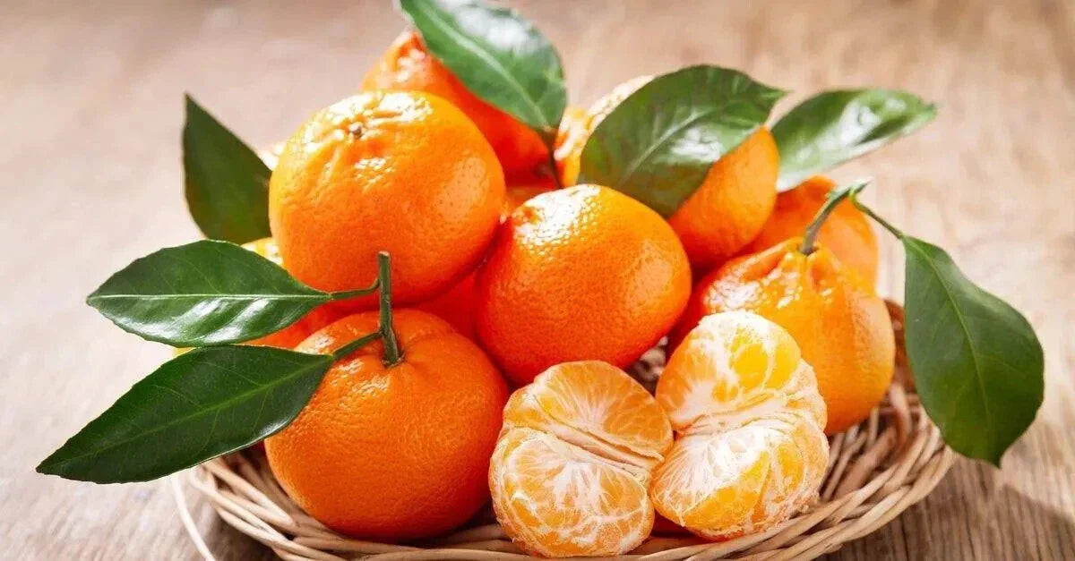 Mandarin Seeds 12 Pack - Citrus reticulata - 2024 USA Grown