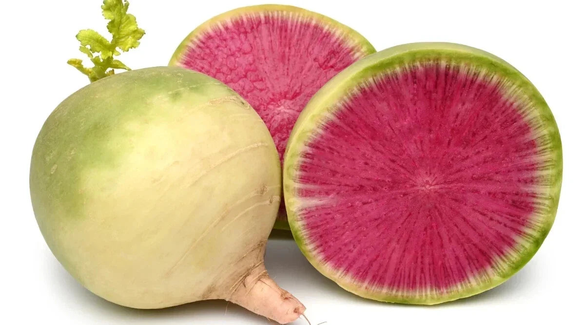 Misato Rose Radish Seeds - 500+ Pack, Raphanus sativus, Pink and White Skin, Fast-Growing, Heirloom, Non-GMO, USA Grown
