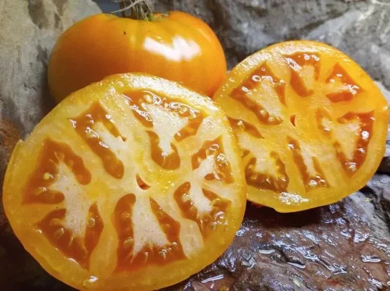 Golden Jubilee Tomato Seeds - 120+ Heirloom Organic Non-GMO Seeds