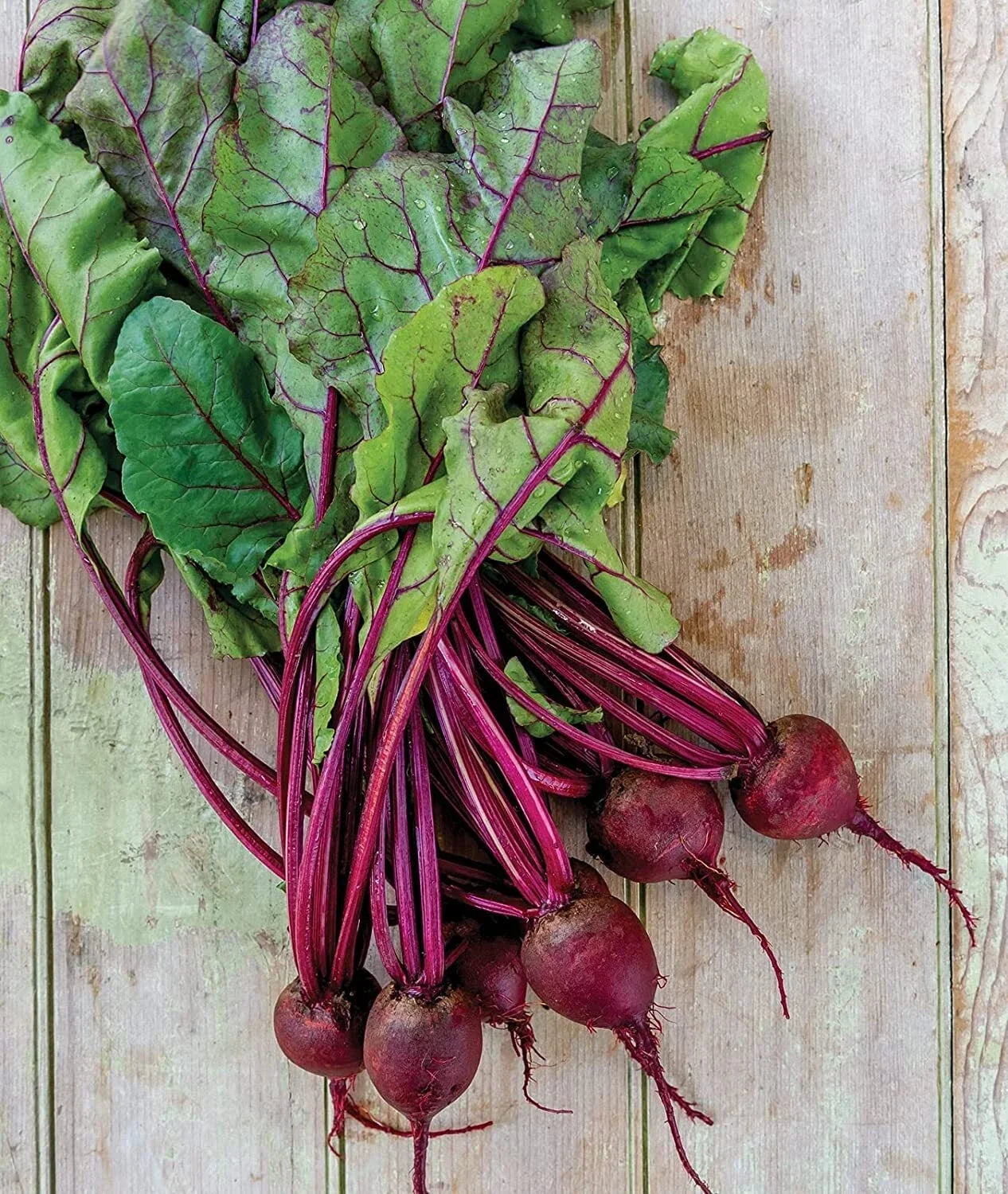 Detroit Dark Red Beet Seeds - Medium Top Variety, Non-GMO Heirloom Beta vulgaris, USA-grown, for home gardening and fresh harvest