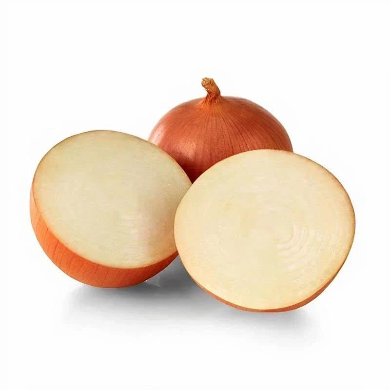 Onion Seeds for Planting - Catskill Variety - 100 Seeds - Allium cepa Bulb-Forming Vegetables