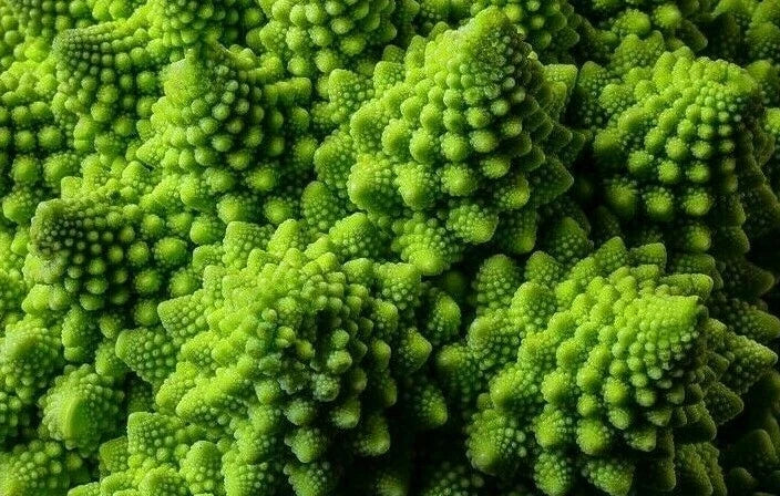 Romanesco Broccoli Seeds - 300+ Exotic Italian Vegetable Seeds Brassica oleracea