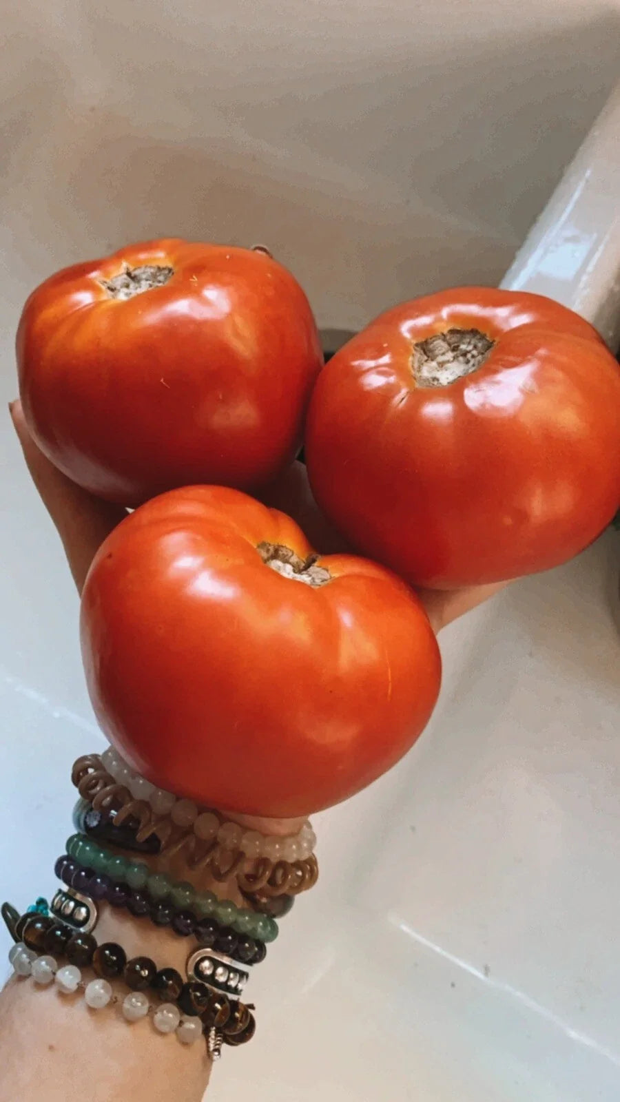 Large Beefsteak Tomato Seeds - Organic Non-GMO Solanum lycopersicum for Home Garden, Juicy, Large Fruit, Bountiful Harvest