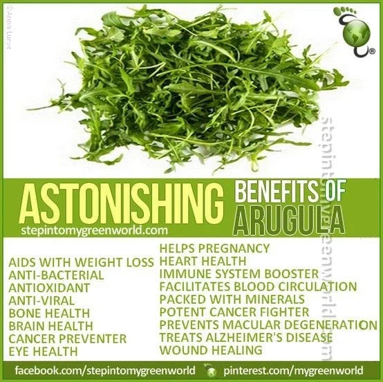 Arugula Seeds - 1500 Non-GMO Organic Open Pollinated - Eruca sativa - Leafy Greens for Salads & Cooking