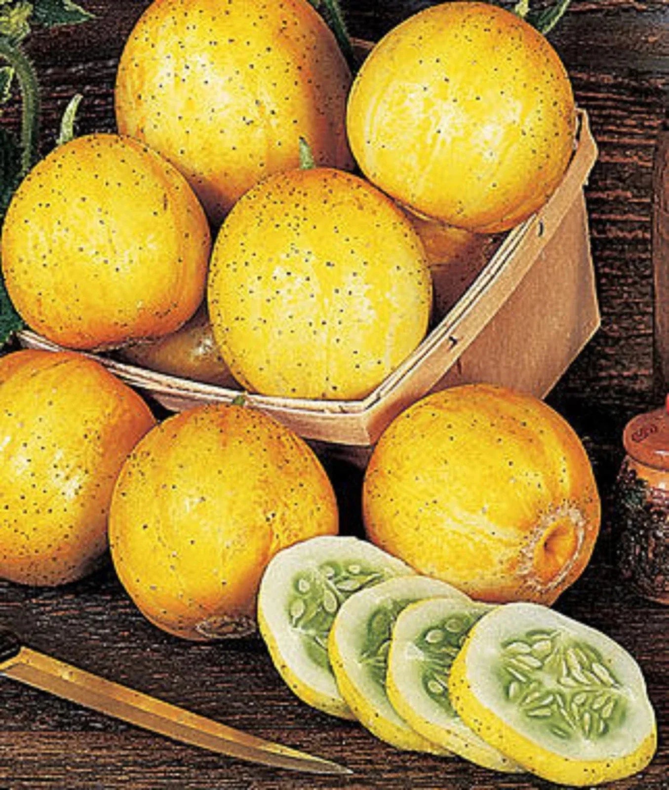 Lemon Cucumber Seeds - Heirloom Non-GMO Rare Variety - Cucumis sativus - 50+ Seeds for Salad, Pickling, and Home Garden
