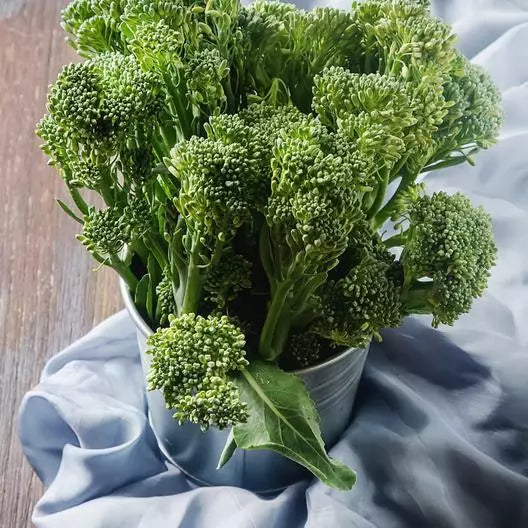 1000 Non-GMO Heirloom Waltham 29 Broccoli Seeds | USA Seller Vegetable Seeds for Home Gardening
