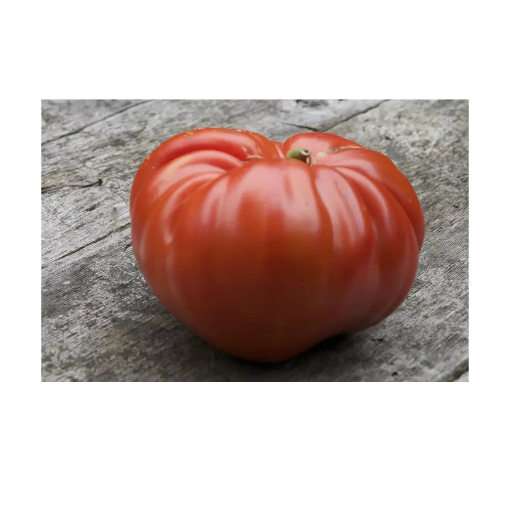 German Johnson Giant Tomato Seeds - Non-GMO Heirloom, Organic, Large Juicy Tomatoes, Solanum lycopersicum, Seed Packet