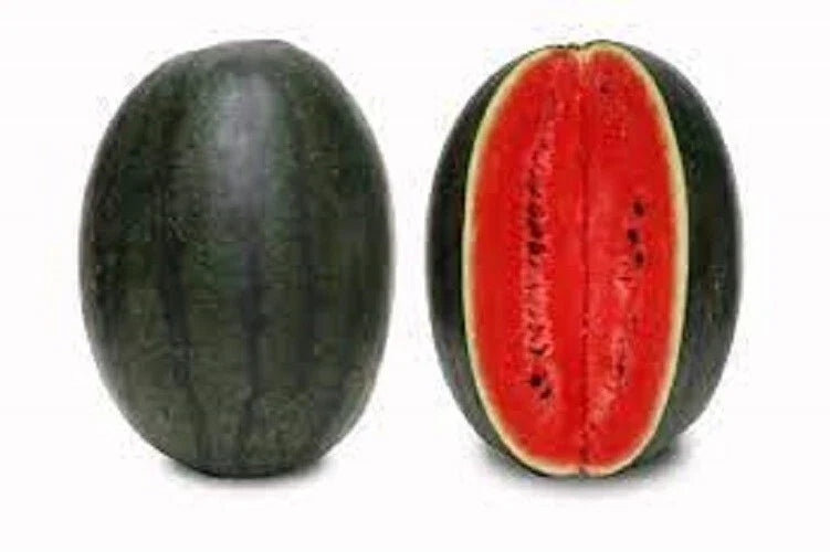 Premium Black Diamond Watermelon Seeds - Heirloom Citrullus lanatus for Home Garden, Juicy Large Fruit, Vining, Organic Seed Packet