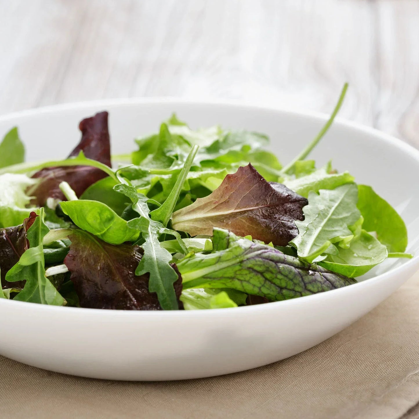 Gourmet Mixed Lettuce Seeds Non-GMO Bulk | Heirloom Garden Seeds USA