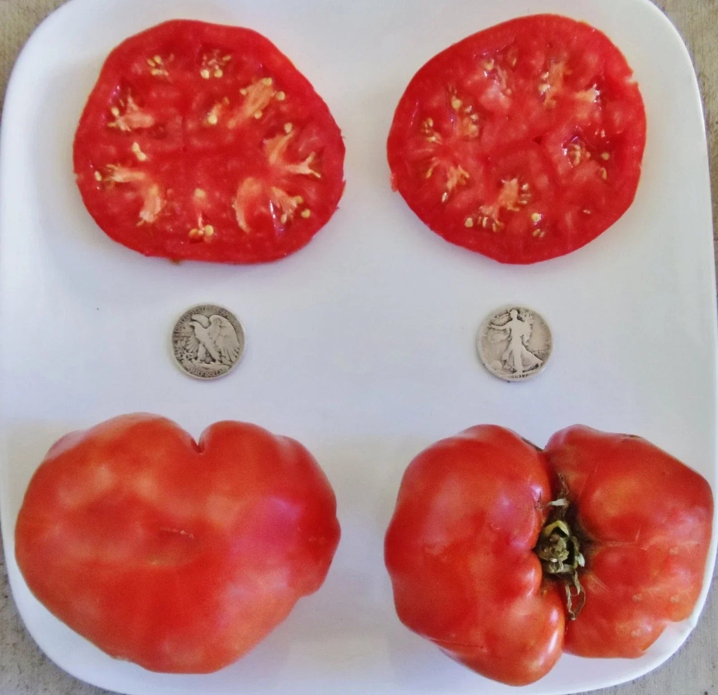 Ponderosa Red Beefsteak Tomato Seeds - 25 Pack Heirloom Variety