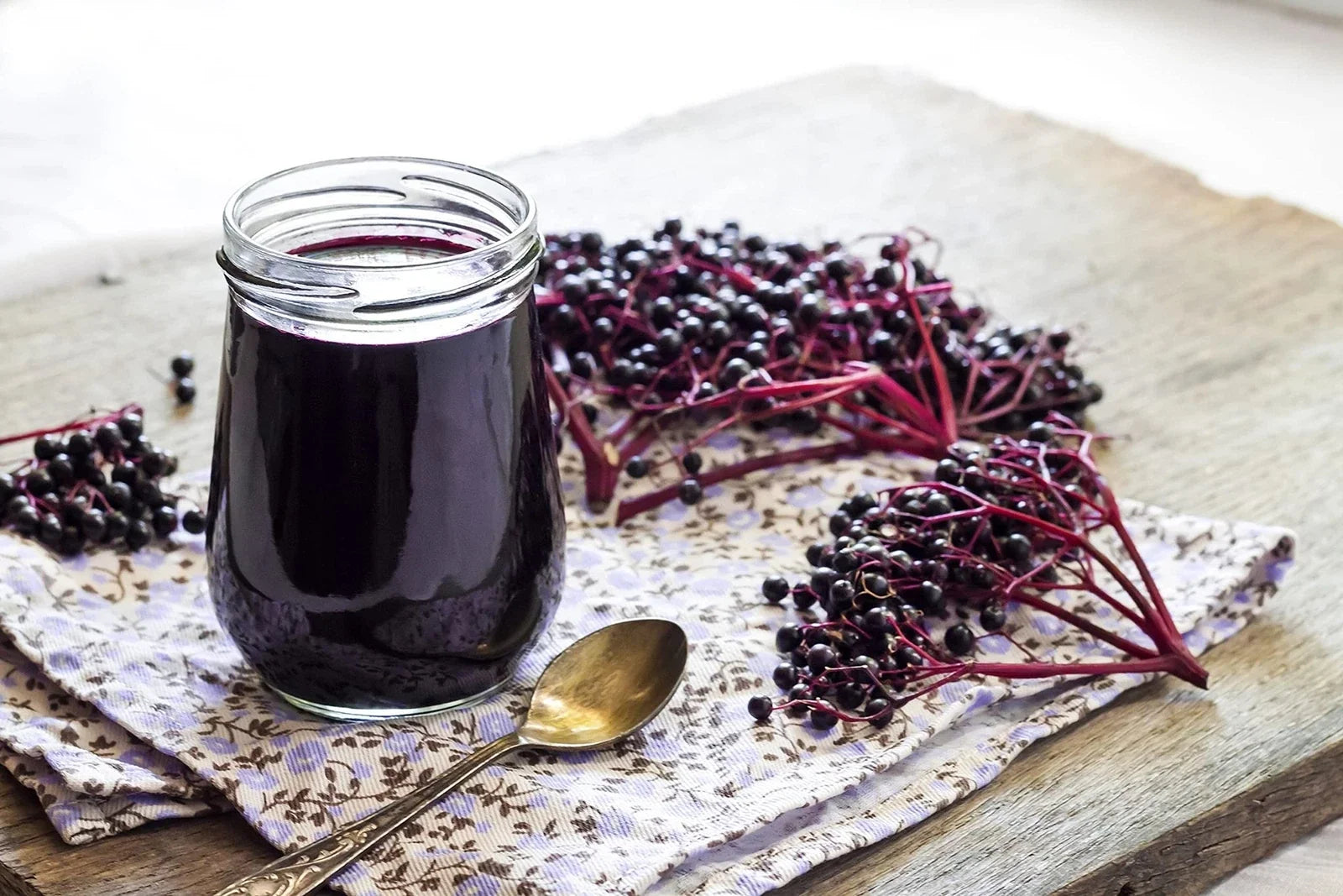 Fresh Elderberry Cuttings - 5 Black Bearing Sambucus nigra Plants for Home Garden and Landscaping