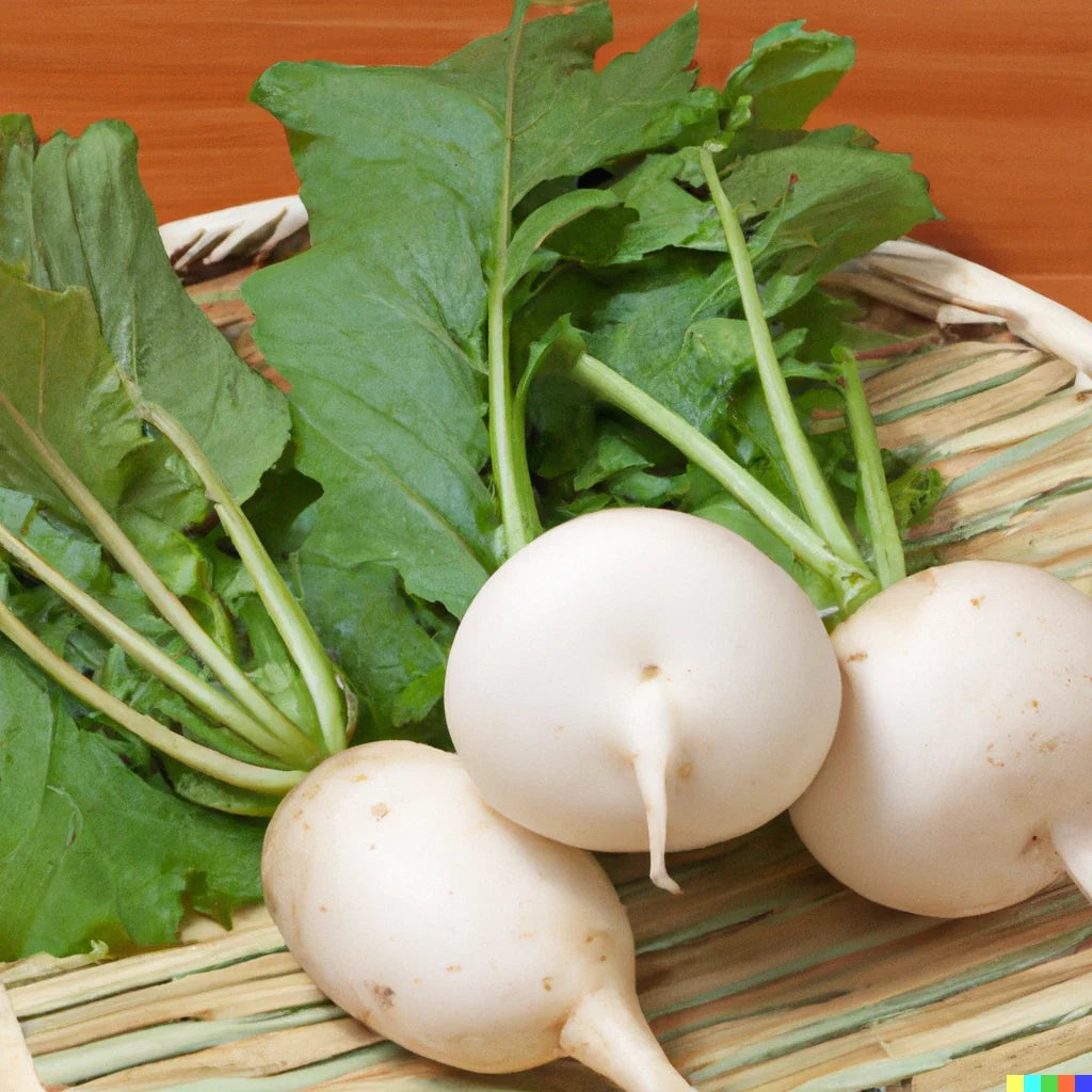 Bulk Shogoin Turnip Seeds 3,000 Count | Microgreen & Vegetable Gardening | Brassica rapa