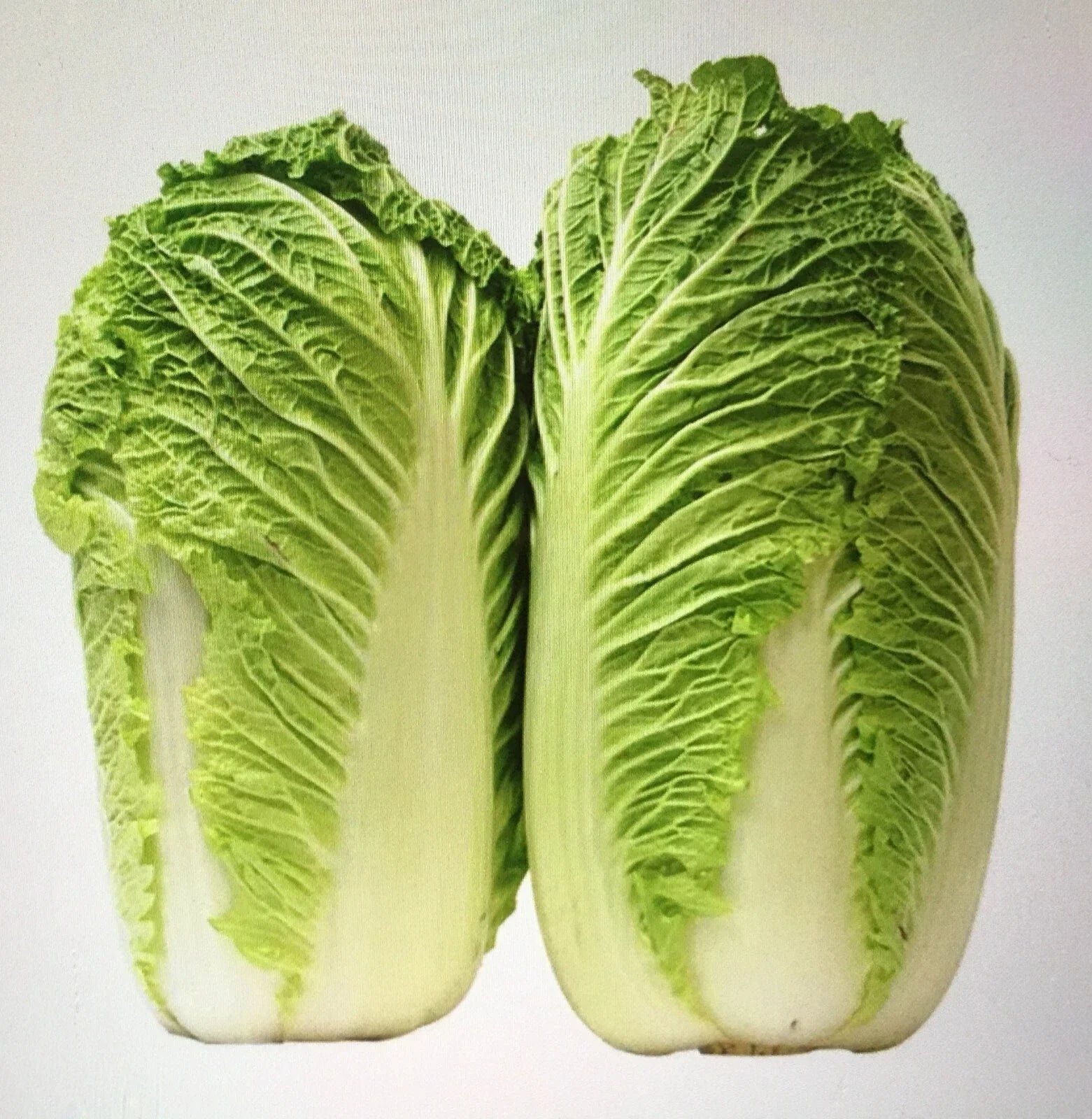 Chinese Cabbage Seeds F1 Hybrid Big Heading Bok Choy Brassica rapa subsp. pekinensis Vegetable Pack of 200+ Seeds
