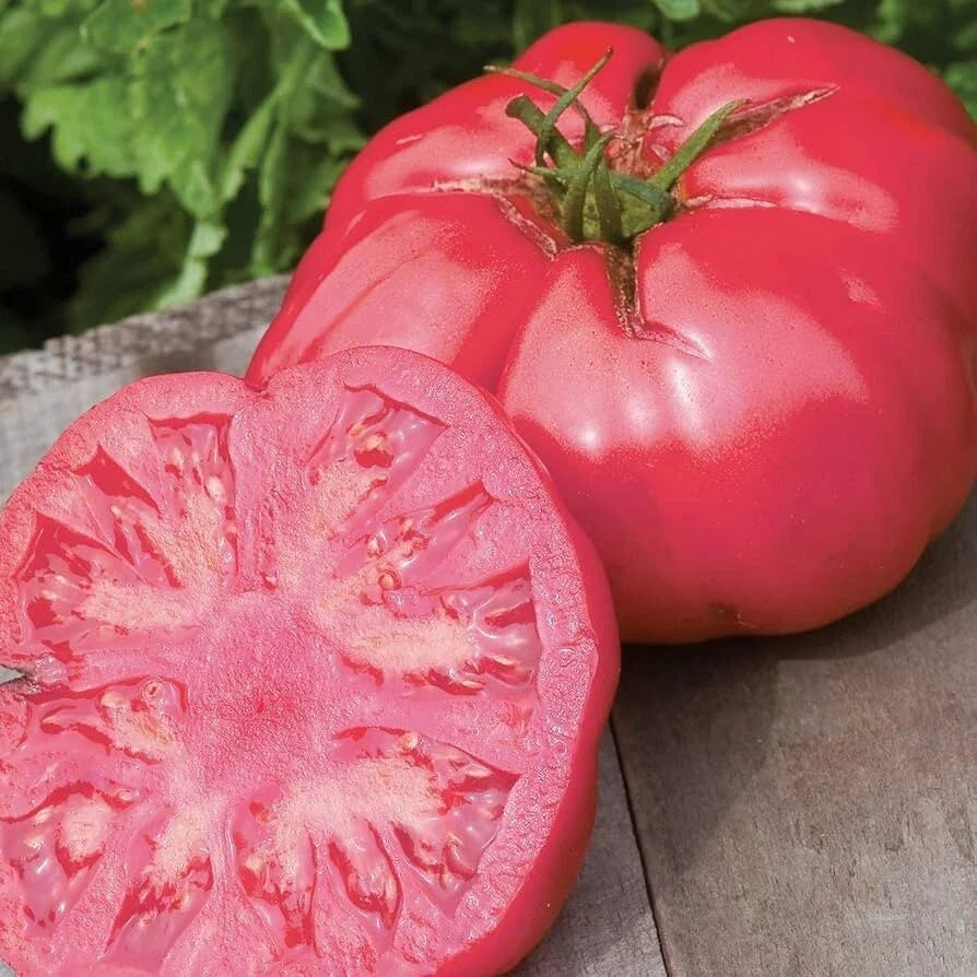 Beefsteak Pink Tomato Seeds - 25 Premium Heirloom Solanum lycopersicum, Large Juicy Tomatoes for Salad & Cooking