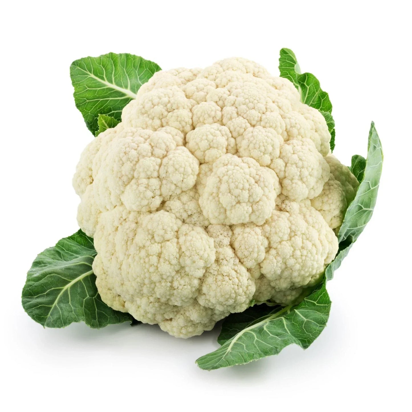 Cauliflower Seeds Snowball Variety - High Germination Brassica oleracea