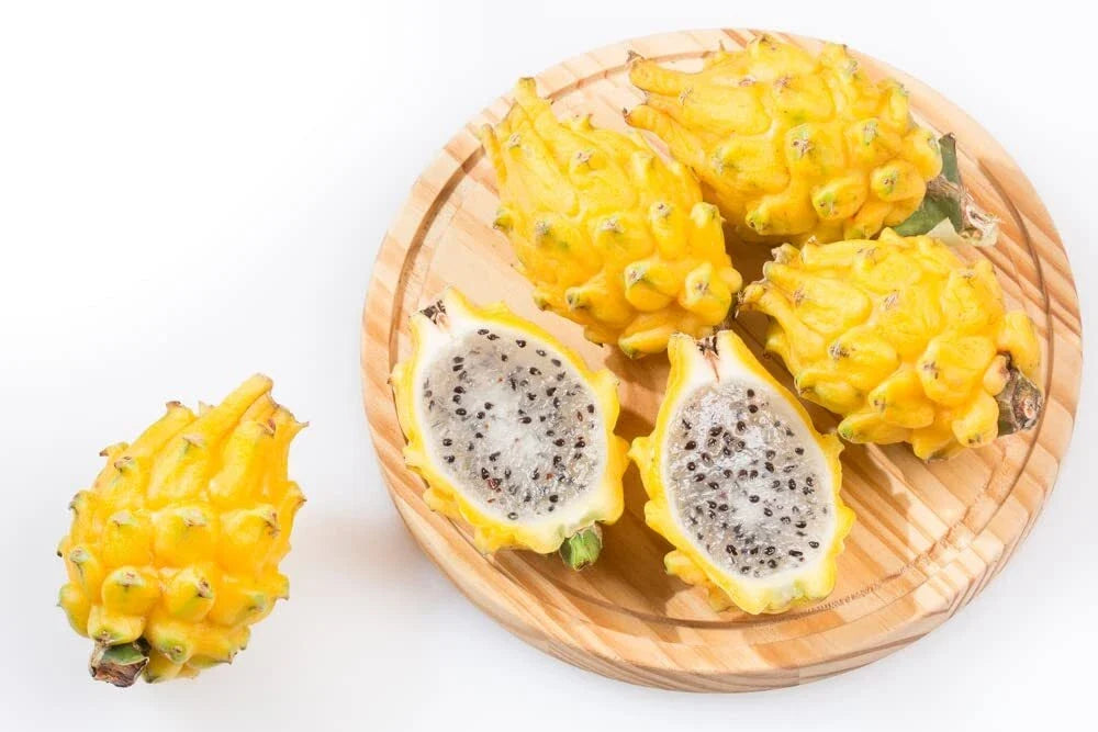 Yellow Dragon Fruit Seeds 30 Pack - Hylocereus megalanthus Exotic Tropical Plant for Gardening and Cultivation