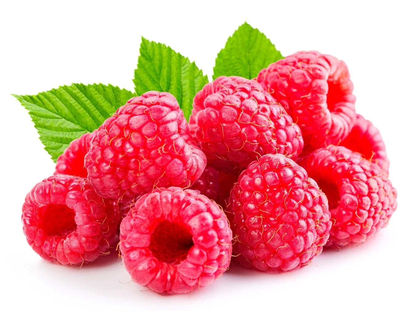 Raspberry Plants Bare Root Canes 5-Pack Heritage Rubus idaeus Large Sweet Berries for Home Garden